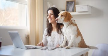 mulher trabalhando em casa com o cachorro ao lado para representar a flexibilização e o home office