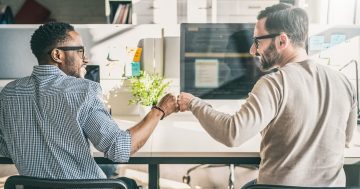 O que é feedforward